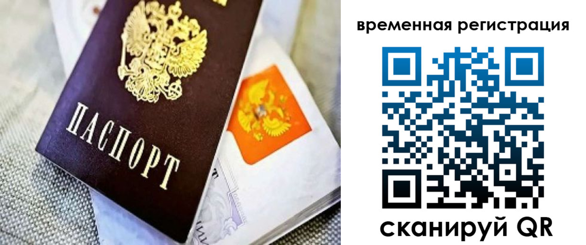 прописка гарантия в Рязани